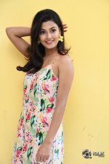 Anisha Ambrose At Fashion Designer Movie Success Meet